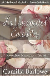 An Unexpected Encounter:A Pride and Prejudice Sensual Intimate - A Forbidden Romance, #1