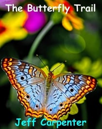 The Butterfly Trail