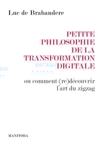 Petite philosophie de la transformation digitale - ou comment (re)découvrir l'art du zigzag