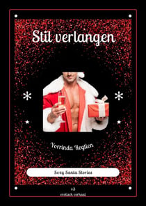 Stil verlangen - Santa Stories, #3