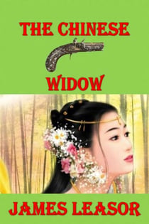 The Chinese Widow - Robert Gunn Trilogy, #2