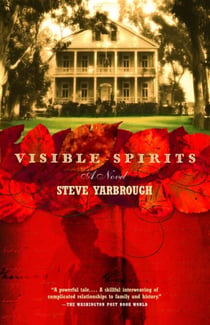 Visible Spirits - A Novel