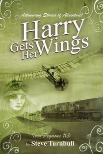 Harry Gets Her Wings - Iron Pegasus, #3