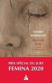 Beyrouth 2020. Journal d'un effondrement - suivi de Cette routine du désastre. Beyrouth, été 2021, journal intermittent