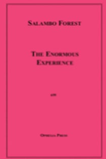 The Enormous Experience