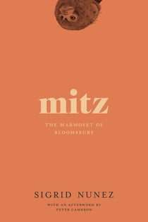 Mitz - The Marmoset of Bloomsbury