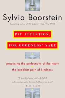 Pay Attention, for Goodness' Sake - Practicing the Perfections of the Heart--The Buddhist Path of Kindness