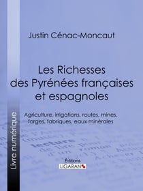 Les Richesses des Pyrénées françaises et espagnoles - Ce qu'elles furent, ce qu'elles sont, ce qu'elles peuvent être - Agriculture, irrigations, routes, mines, forges, fabriques, eaux minérales