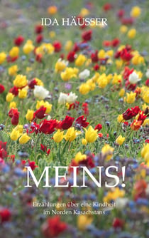 Meins! - Erzählungen über eine Kindheit im Norden Kasachstans