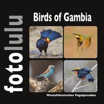 Birds of Gambia - Westafrikanisches Vogelparadies