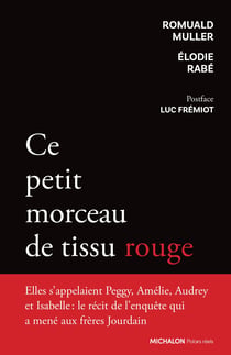 Ce petit morceau de tissu rouge