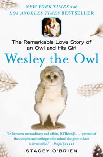 Wesley the Owl - The Remarkable Love Story of an Owl and His Girl