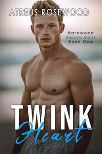 Twink Heart - Hardwood Beach Boys, #1