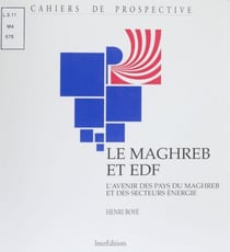 Le Maghreb et EDF - L'avenir des pays du Maghreb et des secteurs énergie