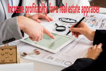 Increase Profitability For a Real Estate Appraiser - Increase profitability for a real estate appraiser, #1