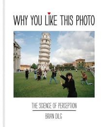 Why You Like This Photo - The science of perception