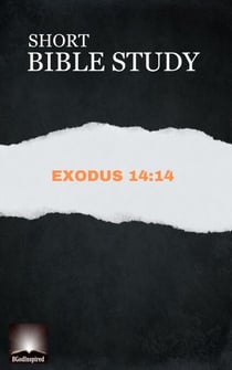 Short Bible Study: Exodus 14:14 - Short Bible Study, #1