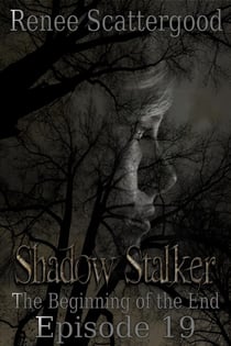 Shadow Stalker: The Beginning of the End (Episode 19) - Shadow Stalker Part 4, #1