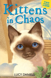 Kittens in Chaos - Siamese in the Sun & Cat in the Candlelight
