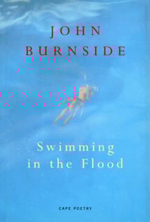 Swimming In The Flood