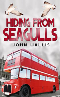 Hiding From Seagulls - Hiding From Seagulls, #1