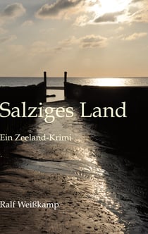 Salziges Land - Ein Zeeland-Krimi