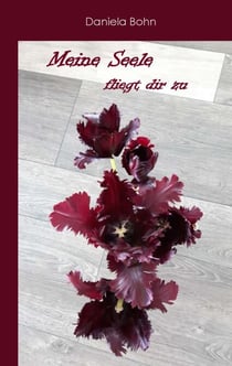 Meine Seele fliegt dir zu - in Gedichten und Bildern