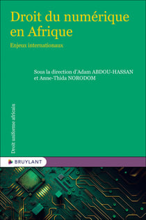 Droit numérique en Afrique : Enjeux internationaux