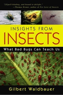Insights From Insects - What Bad Bugs Can Teach Us