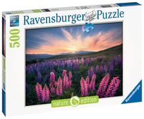 Puzzle 500 pièces - Les lupins