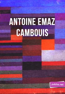 Cambouis - "c'est mon travail, strictement, c'est-à-dire ce qui a pu passer de vivre en mots