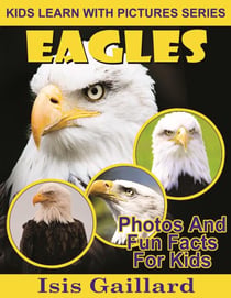 Eagles Photos and Fun Facts for Kids - Kids Learn With Pictures, #29