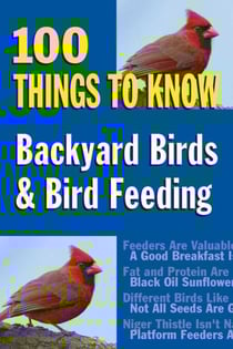 Backyard Birds &amp; Bird Feeding