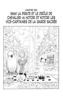 One Piece édition originale - Chapitre 263 - Nami la pirate et le drôle de chevalier VS Hotori et Kotori les vice-capitaines de la garde sacrée