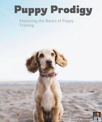 Puppy Prodigy - Mastering the Basics of Puppy Training
