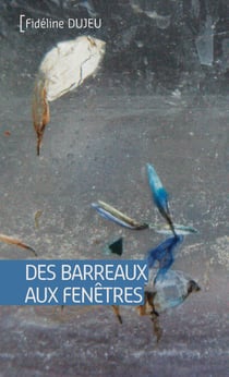 Des barreaux aux fenêtres - Roman