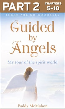 Guided By Angels: Part 2 of 3 - There Are No Goodbyes, My Tour of the Spirit World