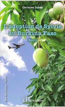 L'adoption de Sylvie au Burkina Faso - Récit