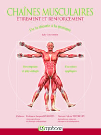 Chaînes musculaires - Étirement et renforcement