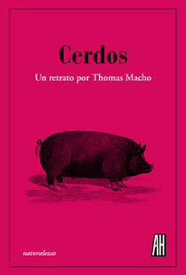 Cerdos - Un retrato por Thomas Macho