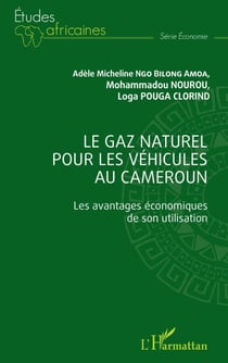 Le gaz naturel pour les véhicules au Cameroun - Les avantages économiques de son utilisation