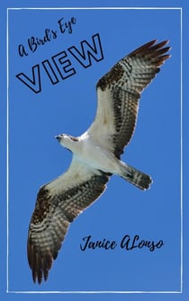 A Bird's-Eye View - Devotionals, #33