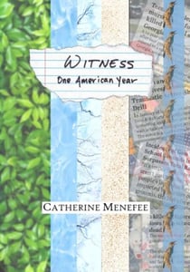 Witness: One American Year