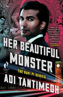Her Beautiful Monster - The Ravi PI Series