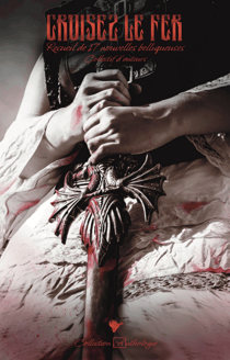 Croisez le fer - Recueil de 17 nouvelles belliqueuses