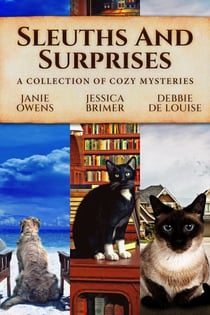 Sleuths and Surprises: A Collection of Cozy Mysteries