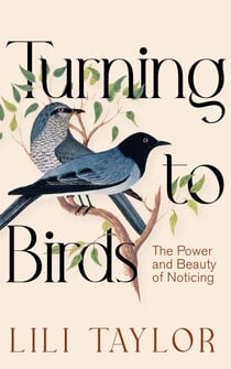 Turning to Birds - The Power and Beauty of Noticing