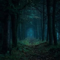 The Whispers Of The Woods - The Whispers Of The Woods, #1