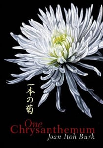 One Chrysanthemum