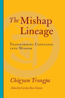 The Mishap Lineage - Transforming Confusion into Wisdom